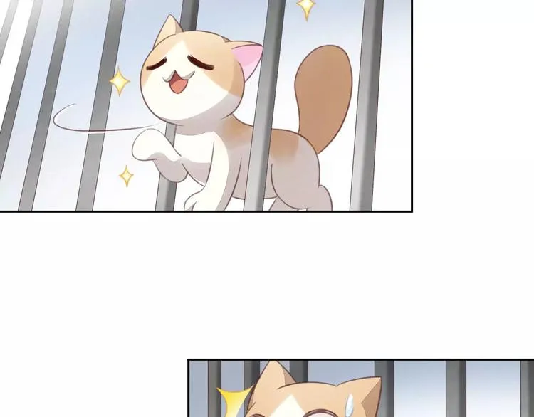 第240页