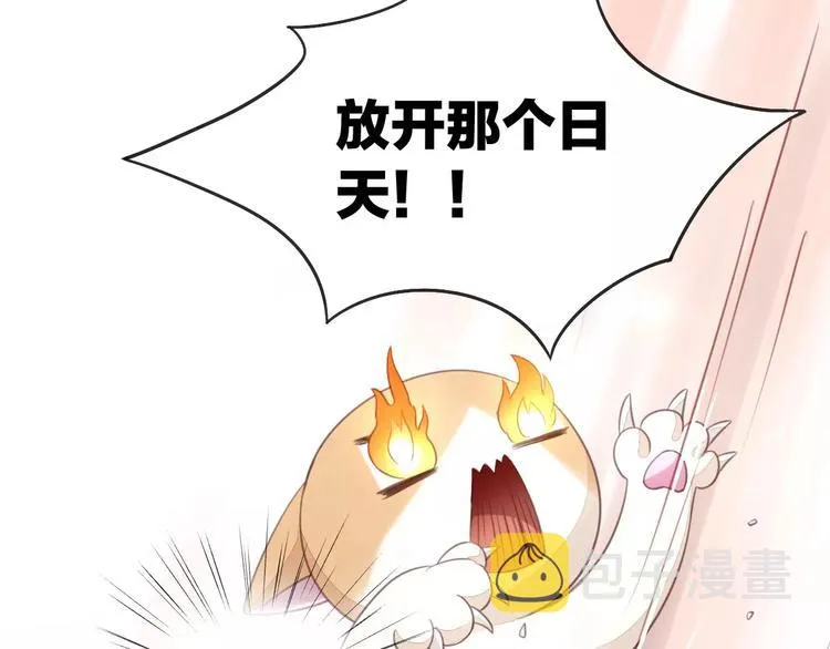 第204页