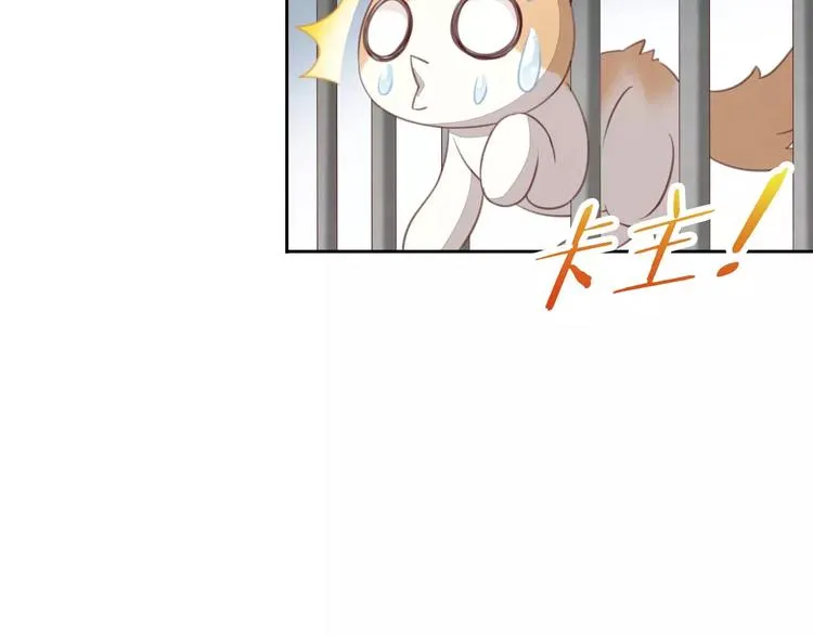 第243页