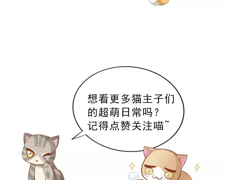 第339页