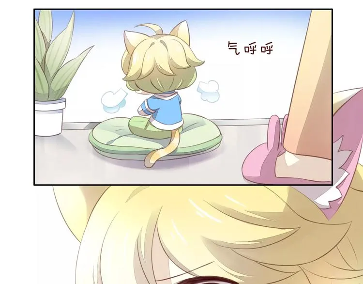 第219页