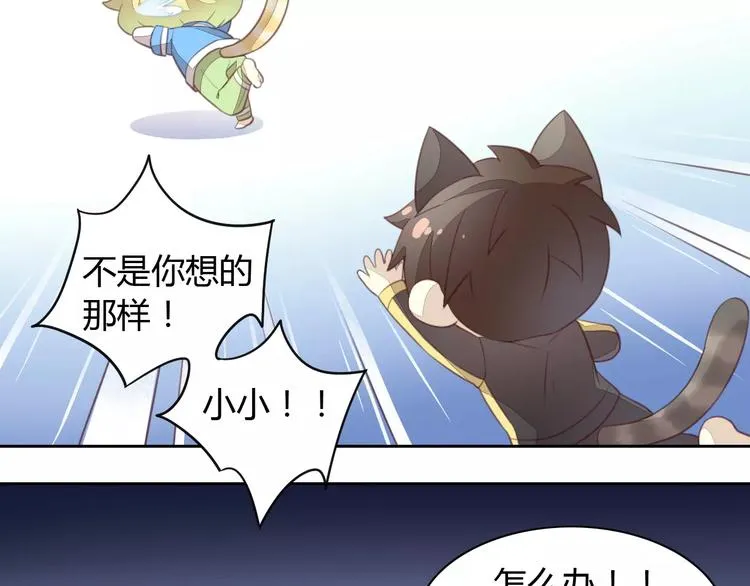第204页