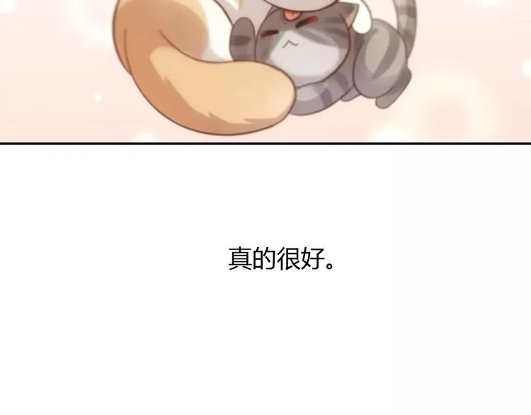 第294页