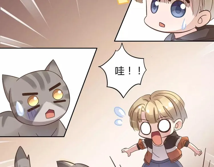 第213页
