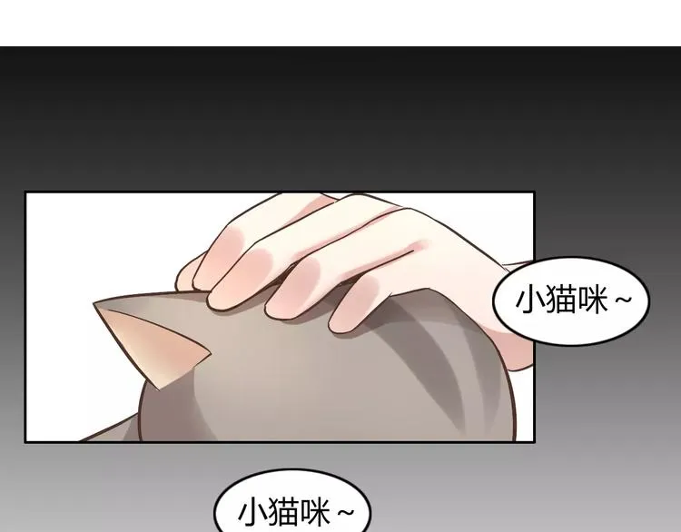 第297页