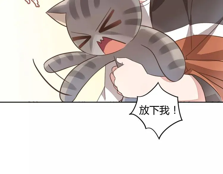 第222页