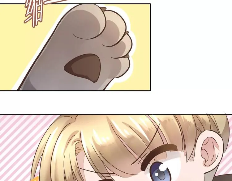 第237页