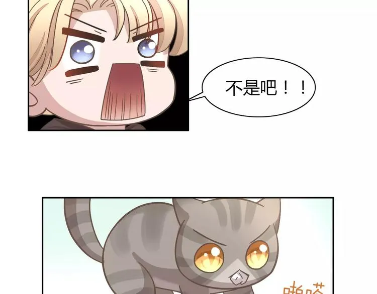 第249页