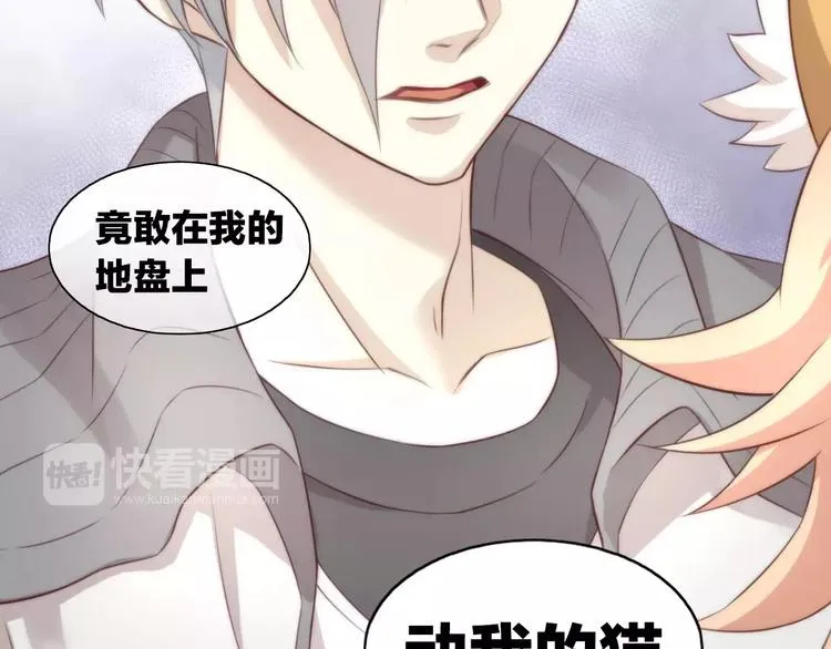 第216页