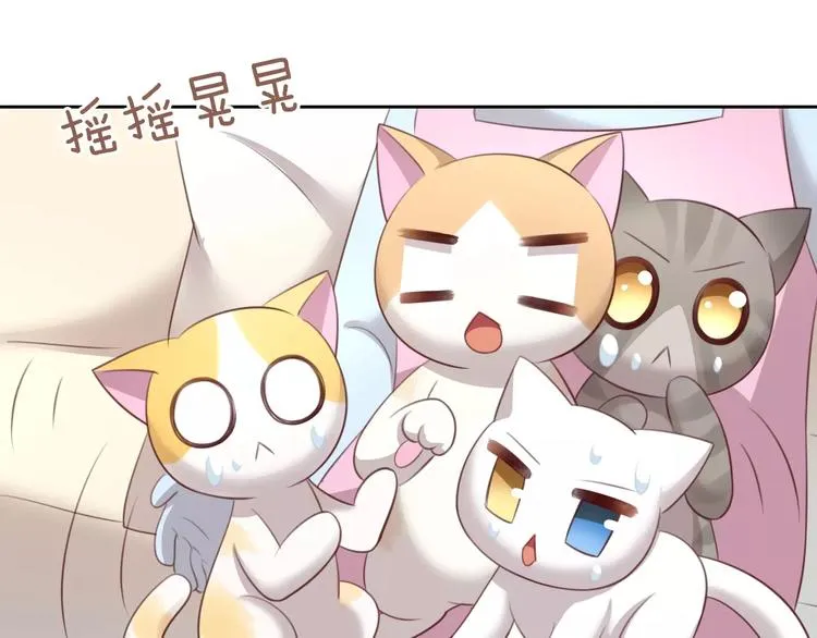 第243页