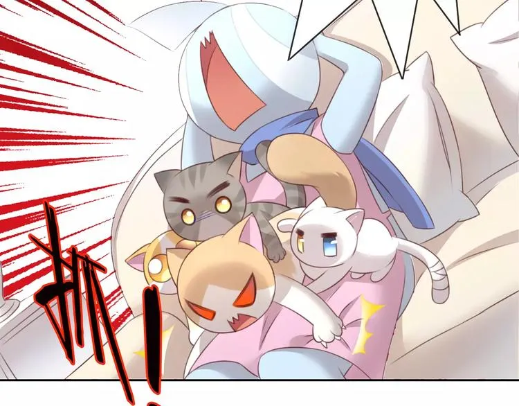 第270页
