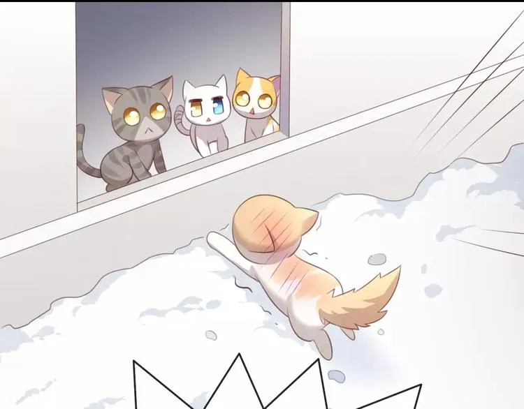 第255页