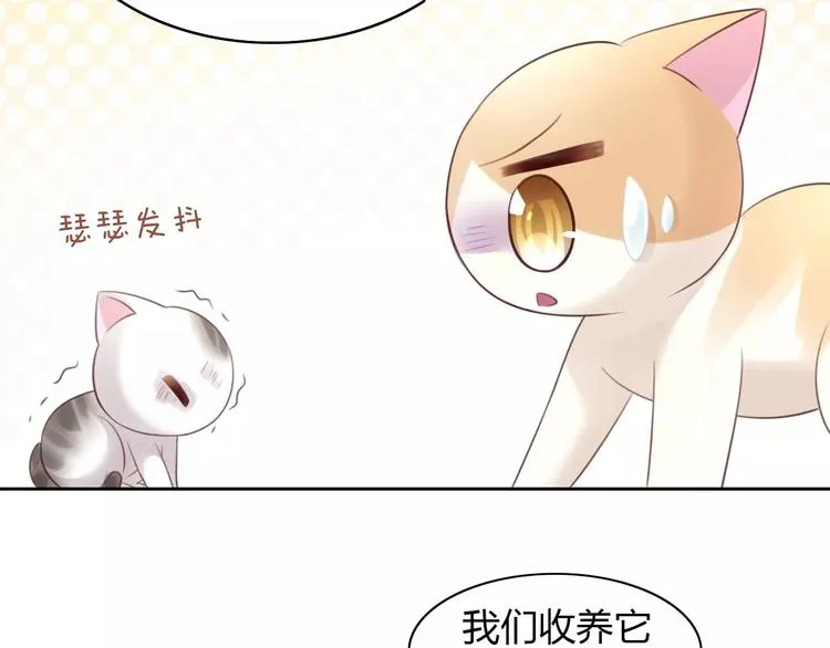 第204页