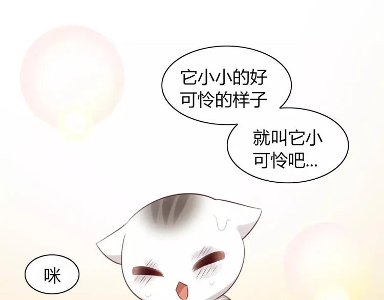 第240页