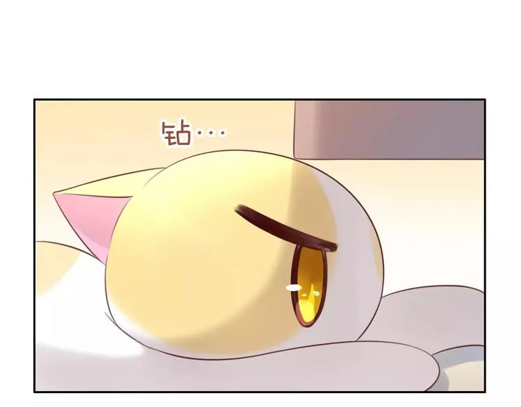 第219页
