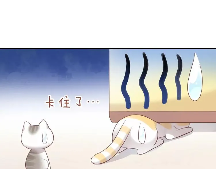 第243页