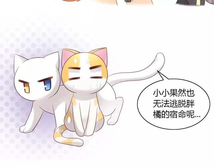 第276页