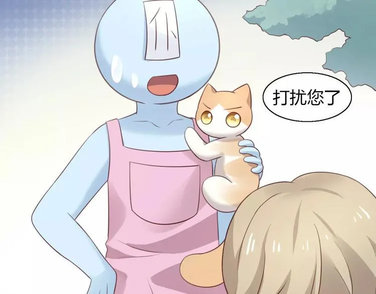 第258页