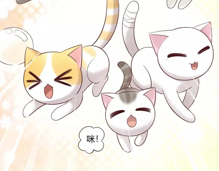 第240页