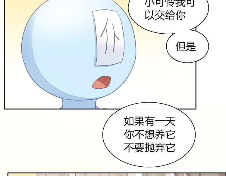 第231页