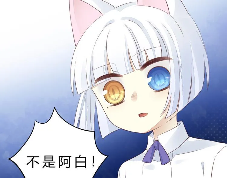 第234页