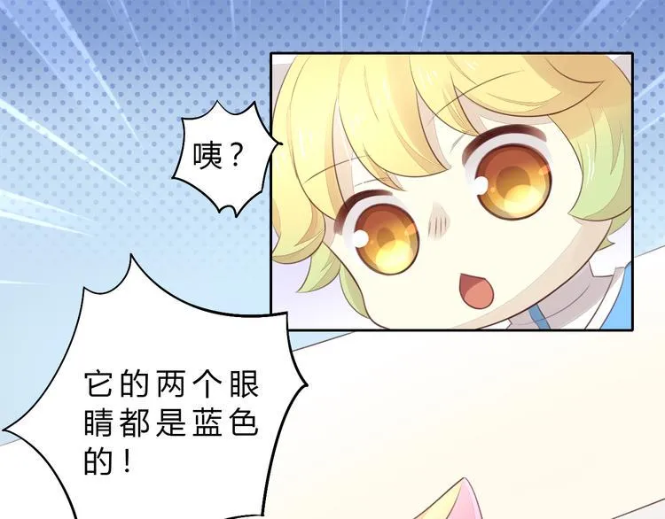 第225页