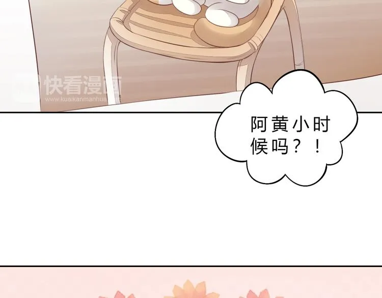 第201页