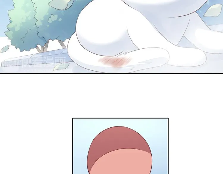 第213页