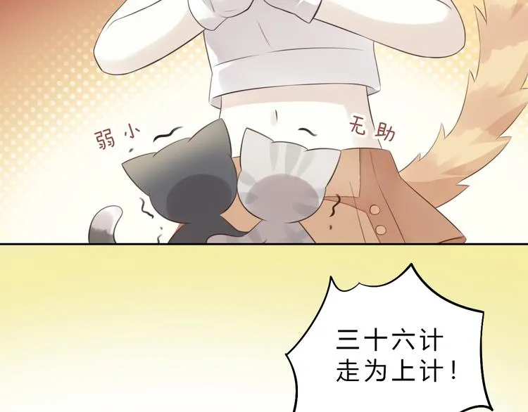 第243页
