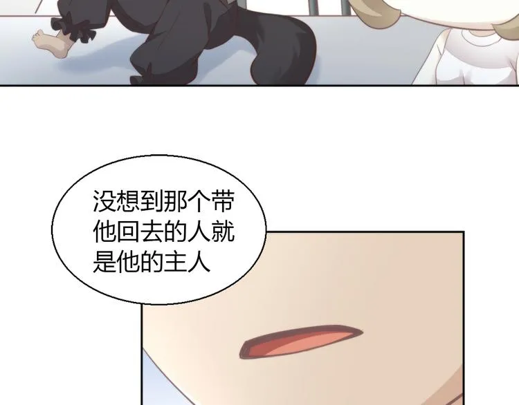 第204页