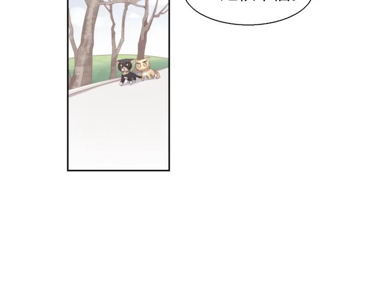 第237页