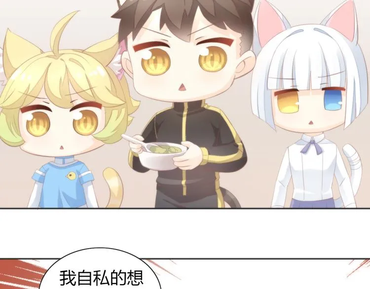 第234页