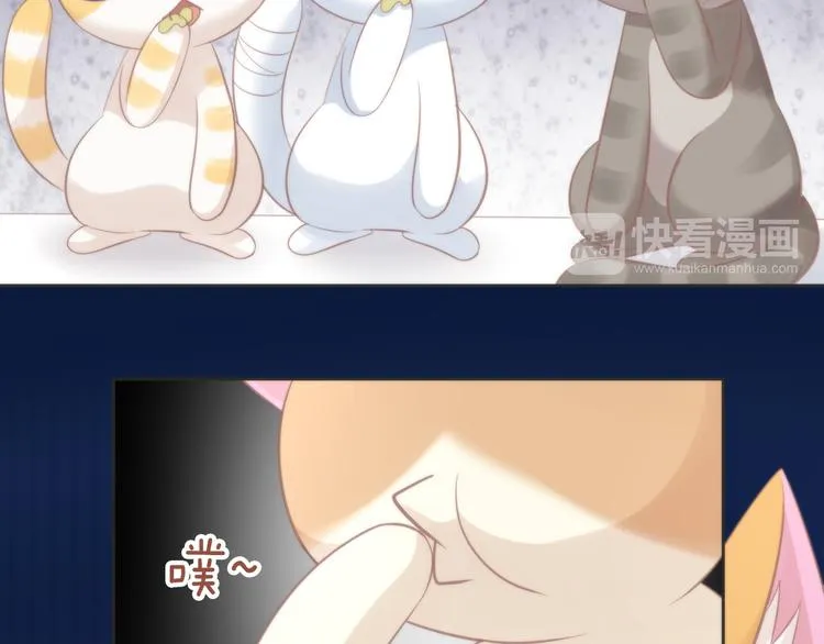第279页