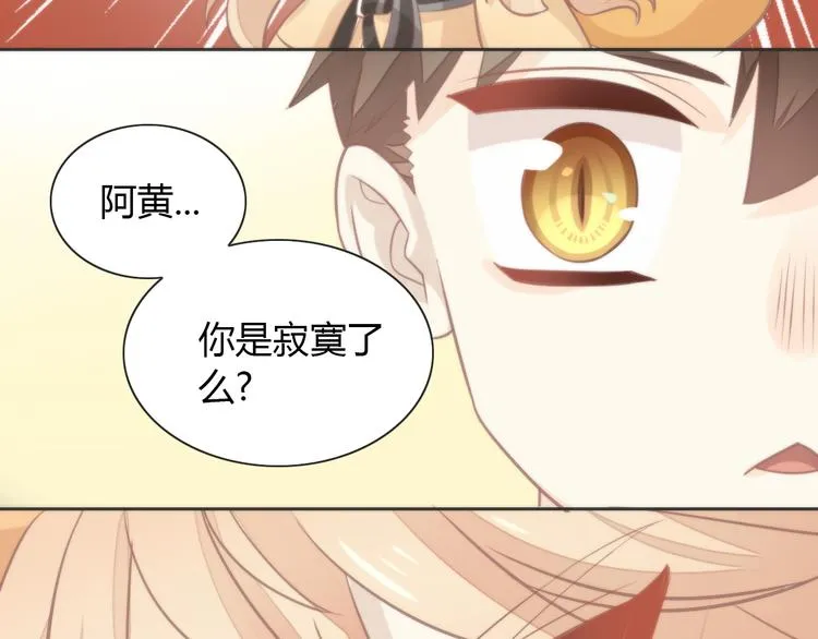 第240页