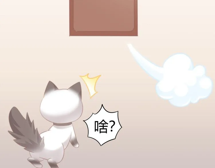 第234页