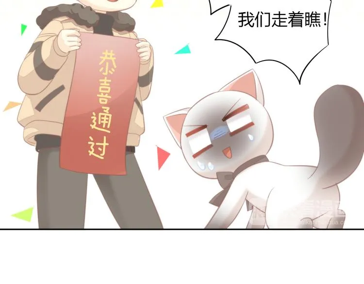 第246页