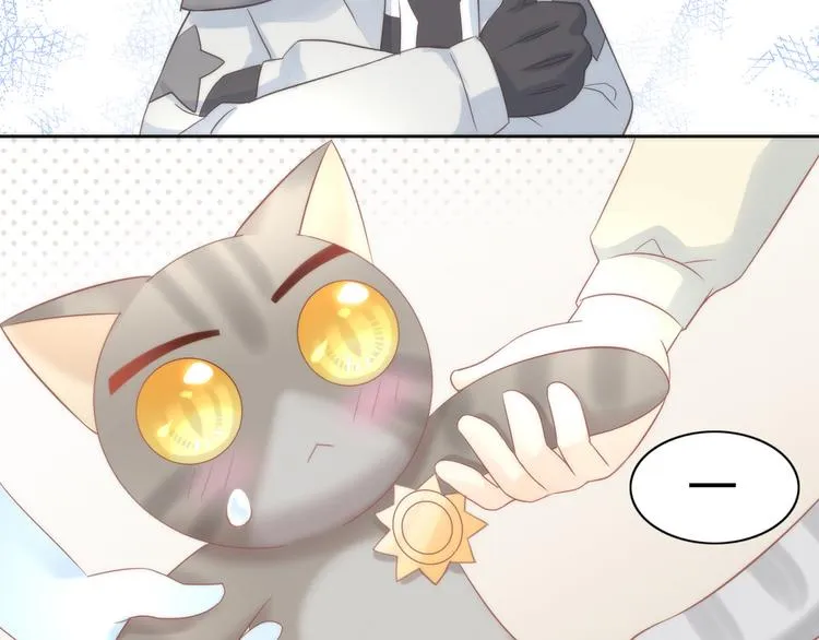 第219页