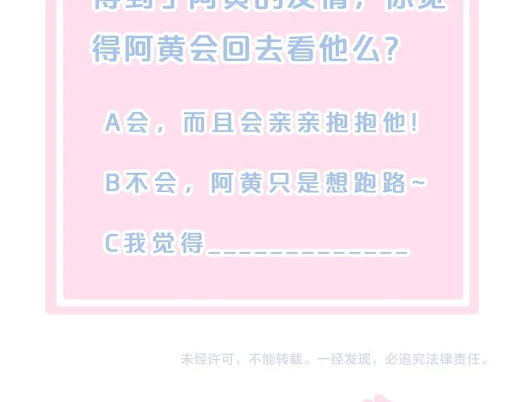 第255页