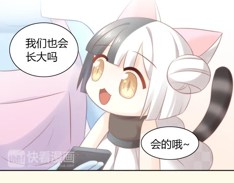 第195页