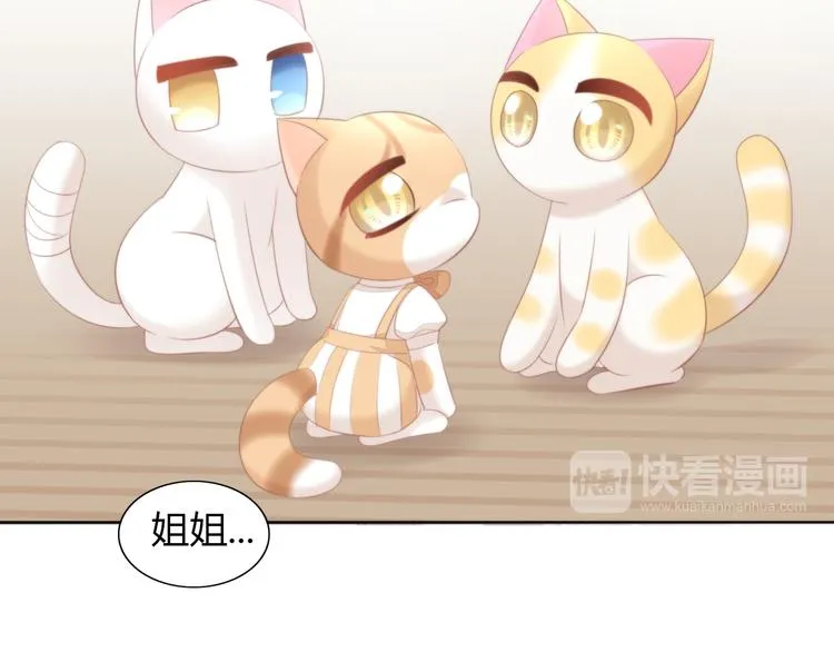 第219页