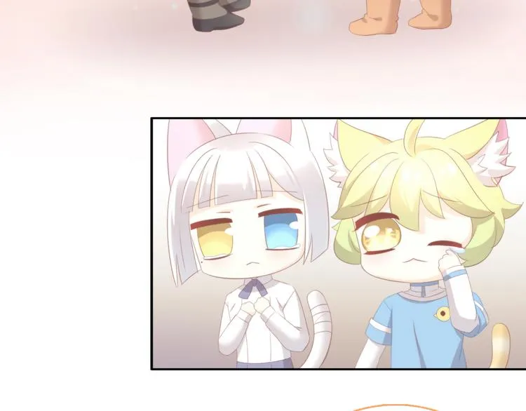 第255页