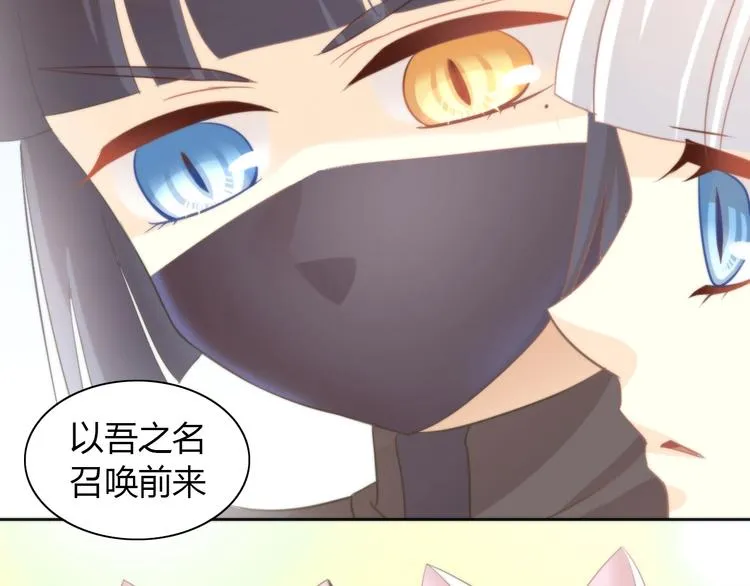 第204页