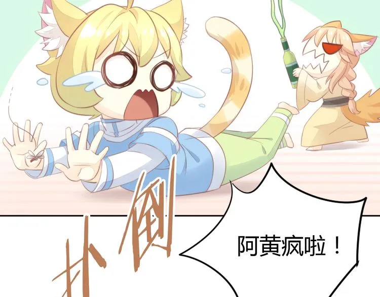 第207页