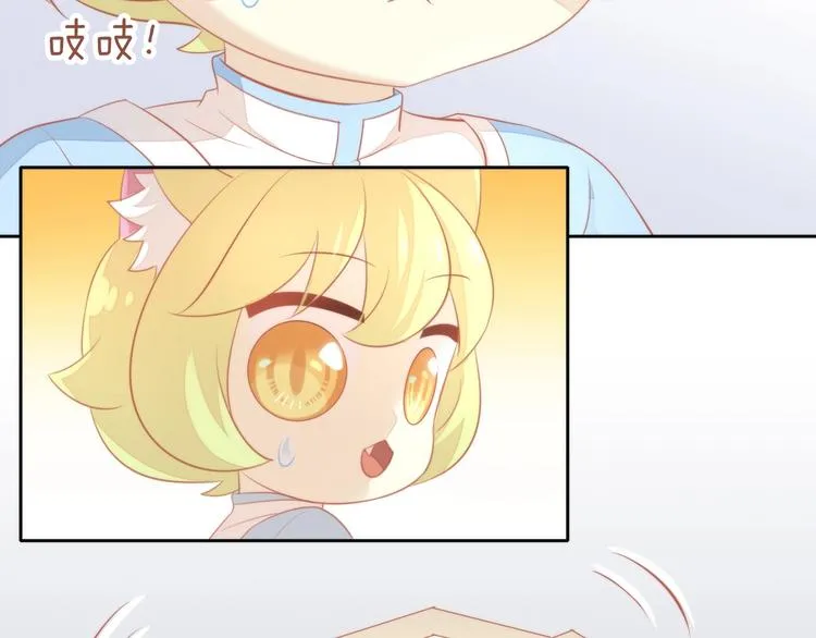 第216页