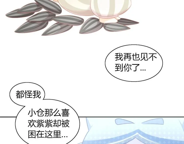 第249页
