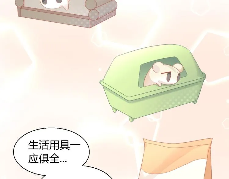 第204页