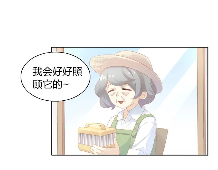 第255页