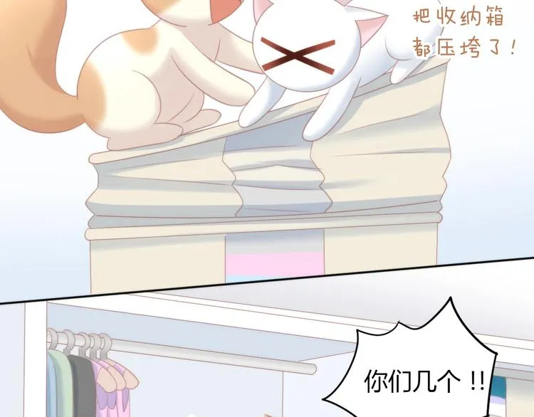 第216页