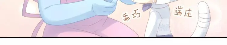 第231页