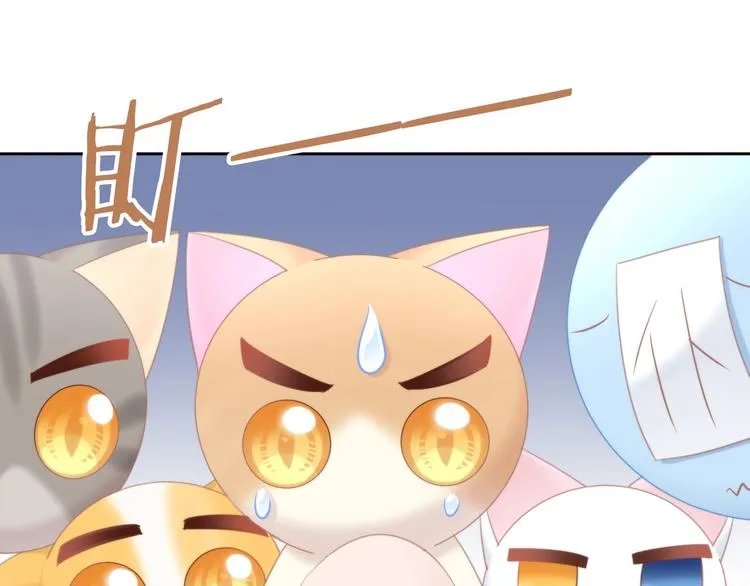 第243页